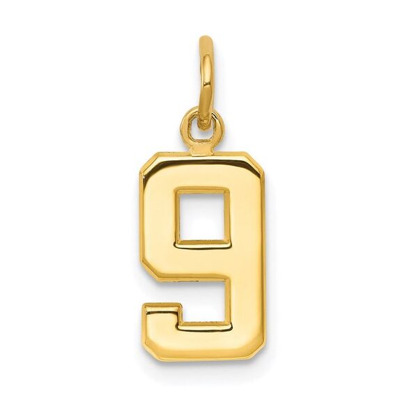 Kazi Luxury 14k Yellow Gold Small Polished Number 9 Charm